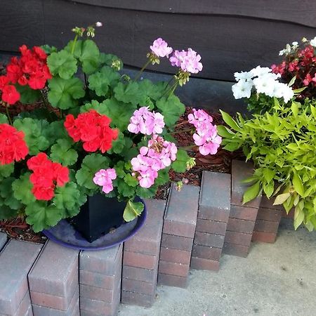 Wild Rose Bed & Breakfast Саскатун Екстер'єр фото